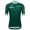 Heren Fietskleding Santini Green Tour de France 2025 fanline shirt