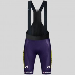 Heren Fietskleding Gobik Wilier Vittoria 2025 Absolute Print K10 Bib Tights