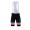 2017 Giant Sunweb Wielershirt Korte Fietsbroeken Bib